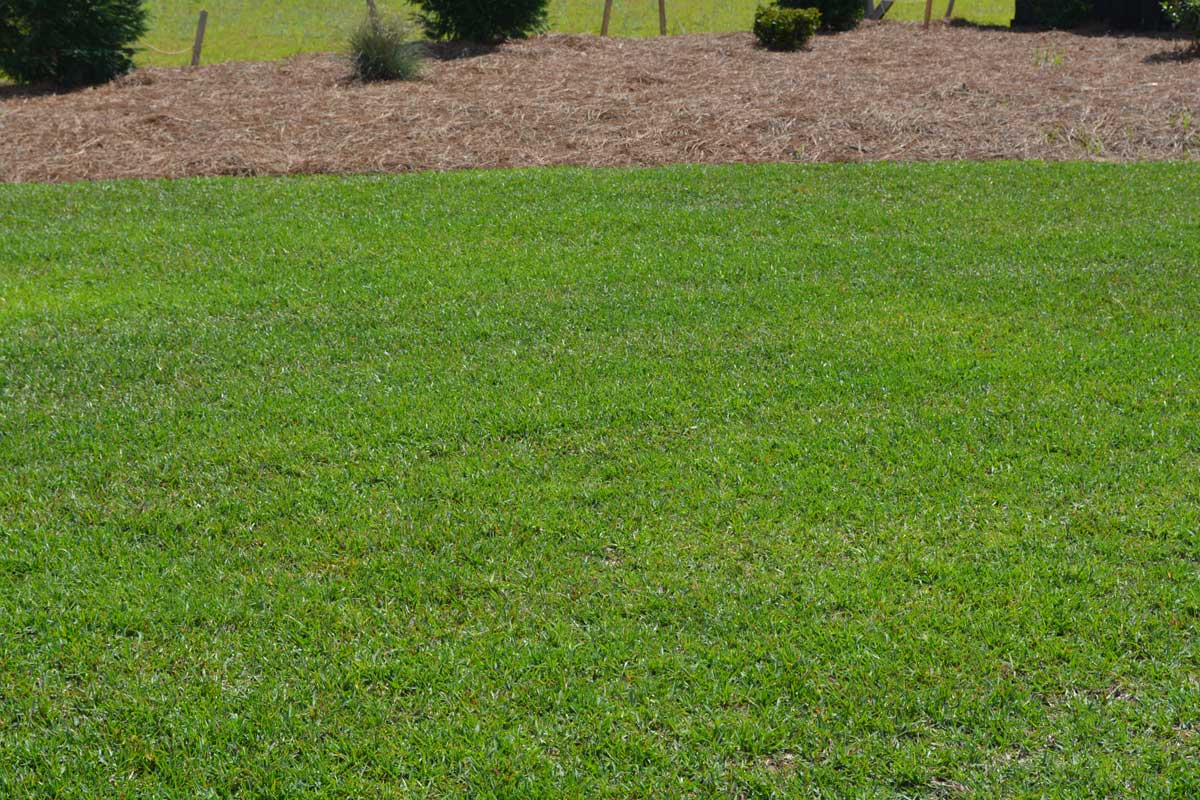 Lawn Care Services - H & H Landscaping & Lawn Care